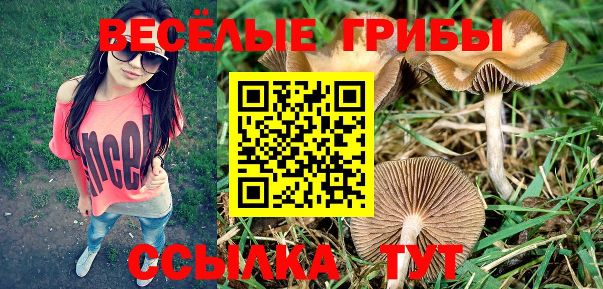 Галлюциногенные грибы ЛСД  Вход с VPN  Псилоцибиновые грибы Magic Shrooms  Аксай 